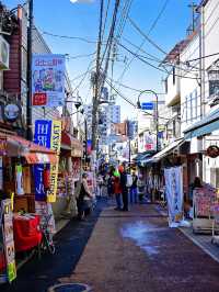 探索懷舊東京的秘密基地：谷中銀座商店街漫遊指南🛤️🐱