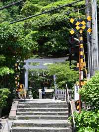鳥居と江ノ電のコラボが素敵すぎる