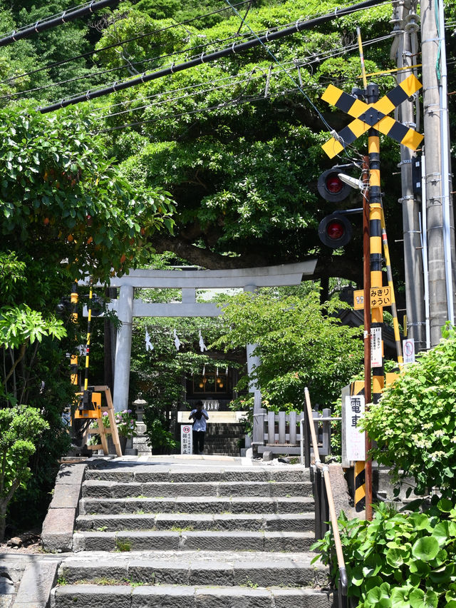 鳥居と江ノ電のコラボが素敵すぎる