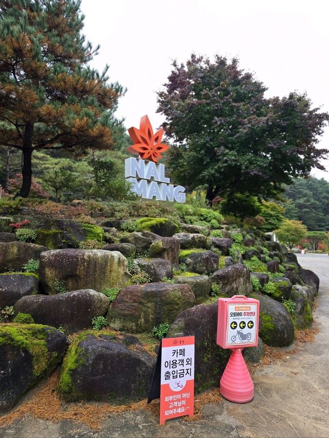 무주 단풍핫플을 찾으신다면 여기예요🍁