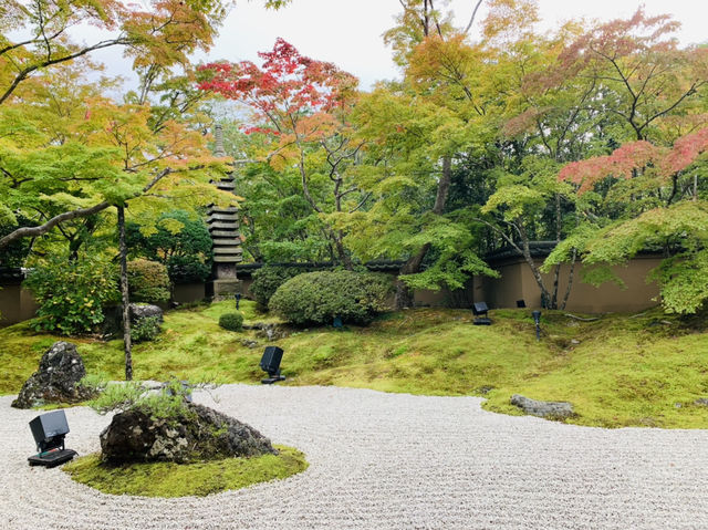 松島　円通院