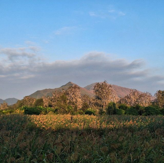 🚴‍♀️🚴‍♂️單車遊元朗到南生圍🚵‍♀️