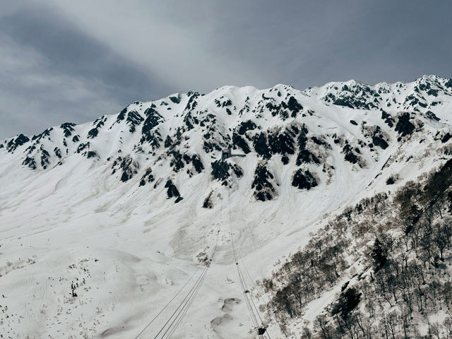 探訪立山黑部：壯麗的雪山觀光之旅 🏔️🌸
