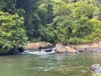 ประสบการณ์การเดินป่าใต้ | ระนอง🌳🏔️