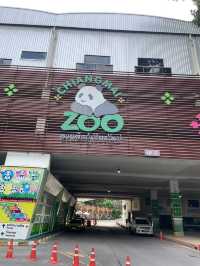 สวนสัตว์เชียงใหม่🐼