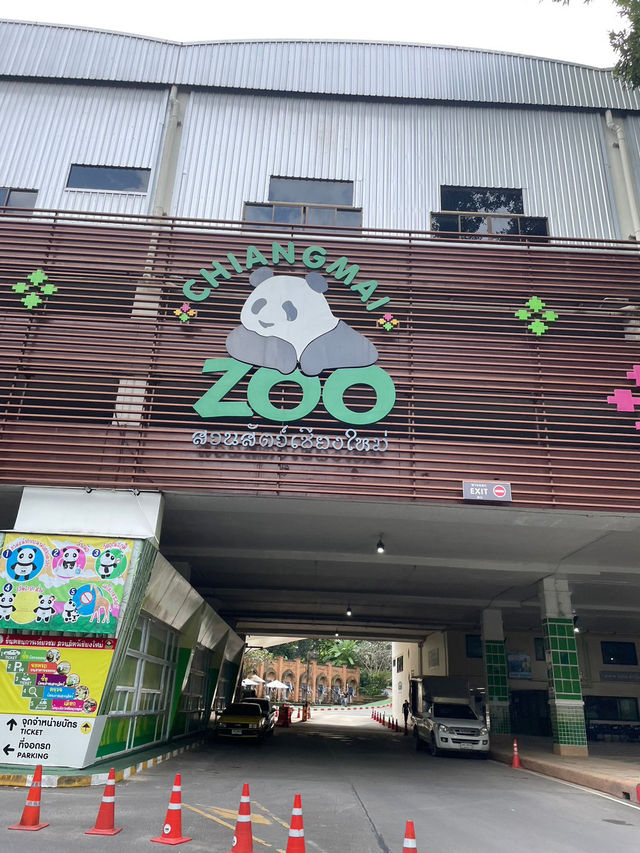 สวนสัตว์เชียงใหม่🐼