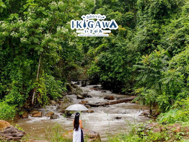 Ikigawa Home ที่พักน่ารักๆ บ่อเกลือ น่าน