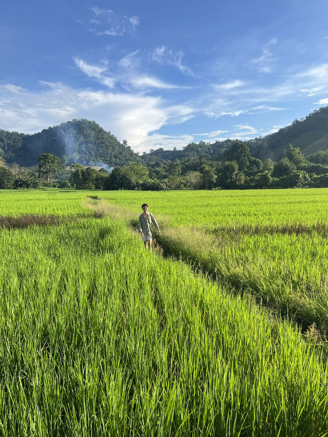 ฉันไม่ใช่ทะเล แต่เป็นเขา เขา เคียง นา ⛰️🌄