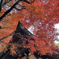 景點推薦：高尾山，秋季紅葉美景一覽無遺