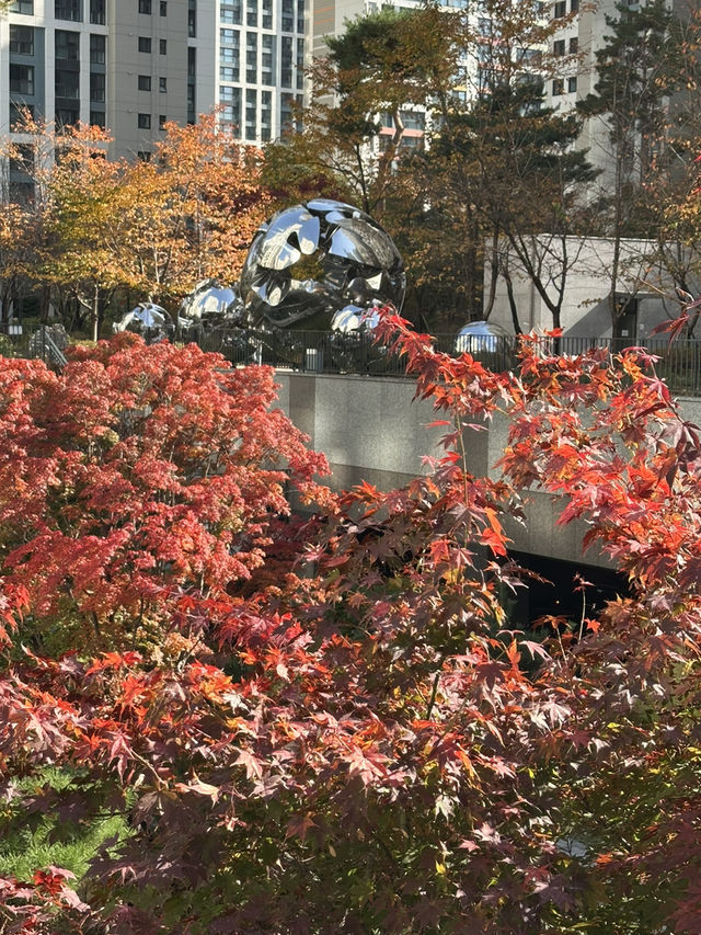 단지 중앙에 예쁜 단풍과 🌳 소담한 산책길을 경험할 수 있는 송파 공원 여행지 추천🍁