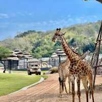 สวนสัตว์เมืองไทย🦒🐘