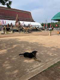 【タイ🇹🇭】入場無料！歴史ある寺院ワットバーンクン🪞