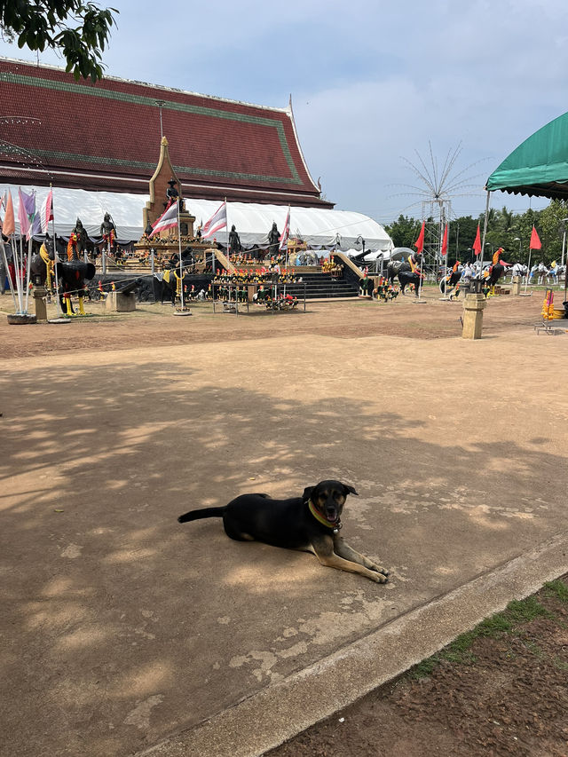 【タイ🇹🇭】入場無料！歴史ある寺院ワットバーンクン🪞