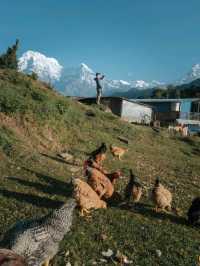 Mardi Himal 