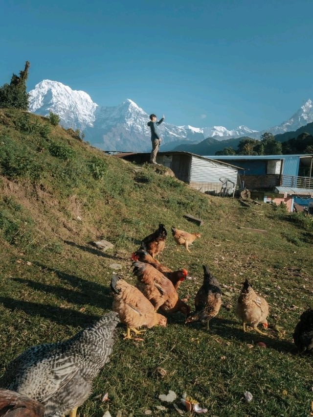Mardi Himal 
