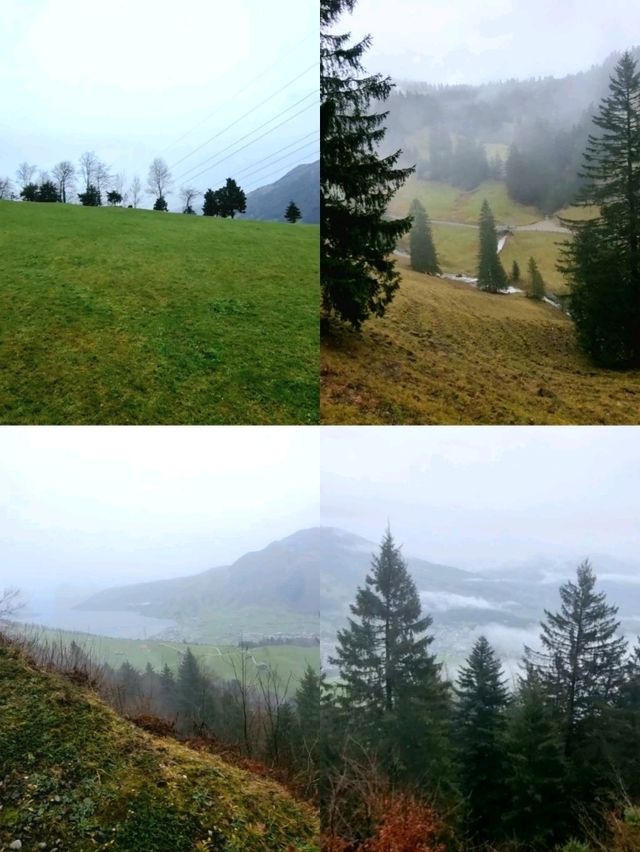🇨🇭 Cogwheel Train Ride to Mt Rigi 