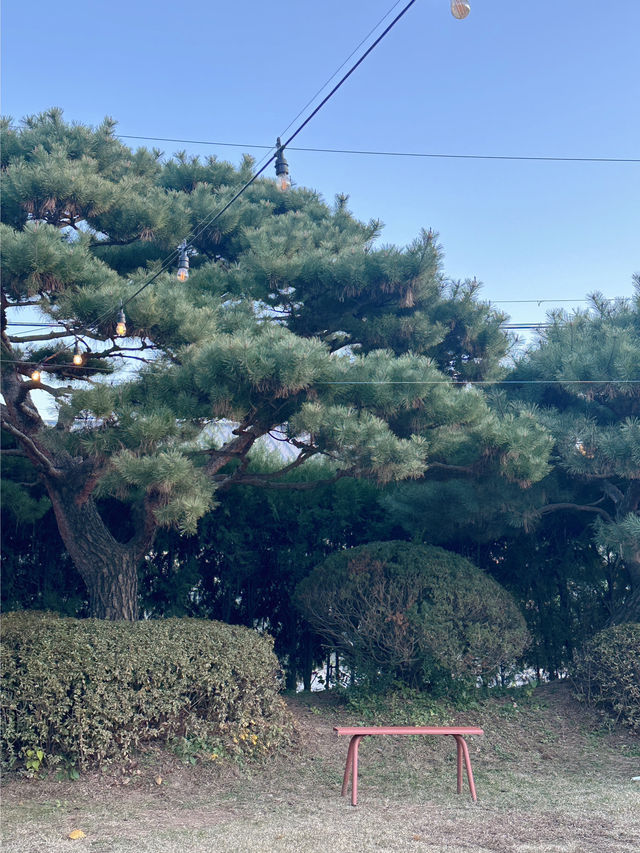 서울 근교 카페 추천☕️