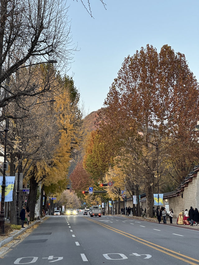 首爾🍂景福宮真的超級好拍
