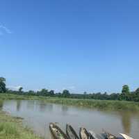 尼泊爾🇳🇵奇旺國家公園 🏞️ 犀牛🦏