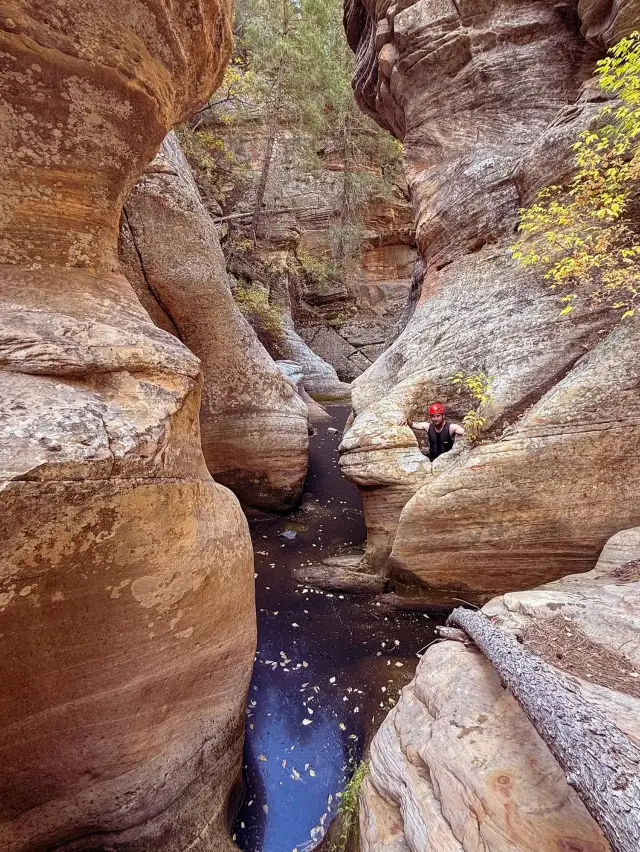 亞利桑那州峽谷攀岩的一天