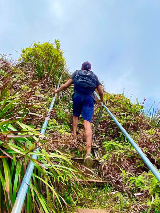 Guide to the Stairway to Heaven Hike in Hawaii