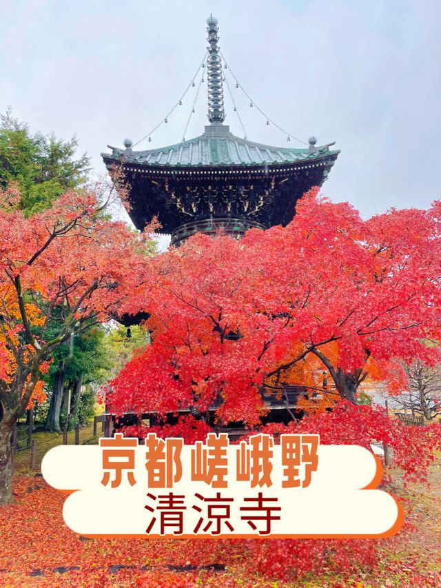 京都嵯峨野の紅葉穴場スポット😊🍁清凉寺🍁