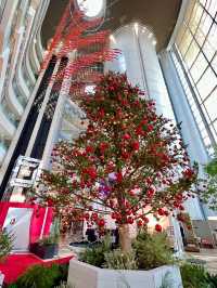 大阪 ❤︎ ラグジュアリーなバカラのクリスマス❤️ 