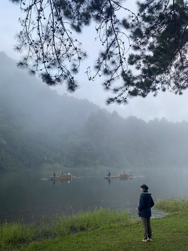 ฤดูหนาวที่ปางอุ๋ง | จ.แม่ฮ่องสอน 🏕️🌿🦢🌳