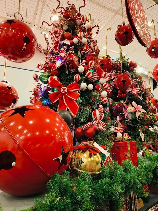 Turning Festive Dreams into Reality at SSF Home