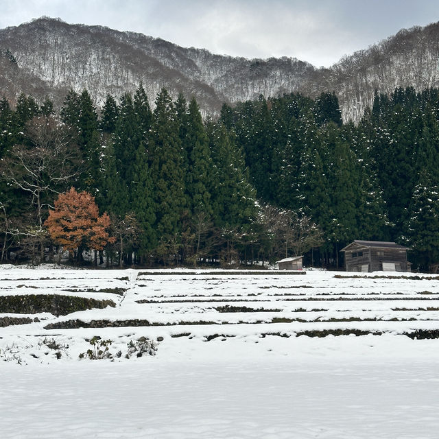 Shirakawa-go หมู่บ้านมรดกโลก ญี่ปุ่น🇯🇵