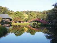 橫濱🇯🇵稱名寺