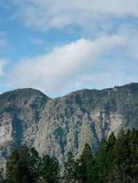 One Day Trip from Taipei to Alishan🏞️🍁
