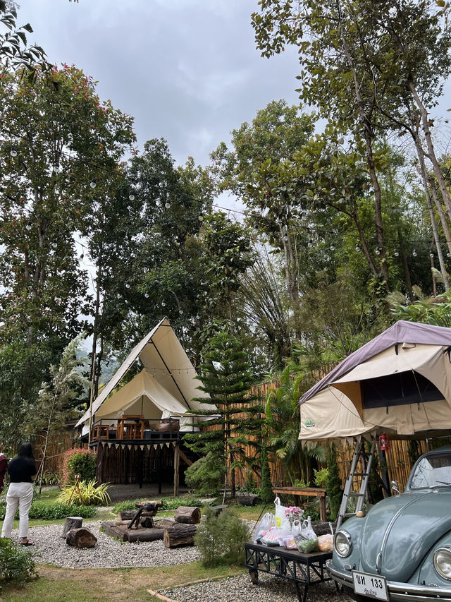 🌲หนาวนี้ที่เชียงใหม่⛰️🌷