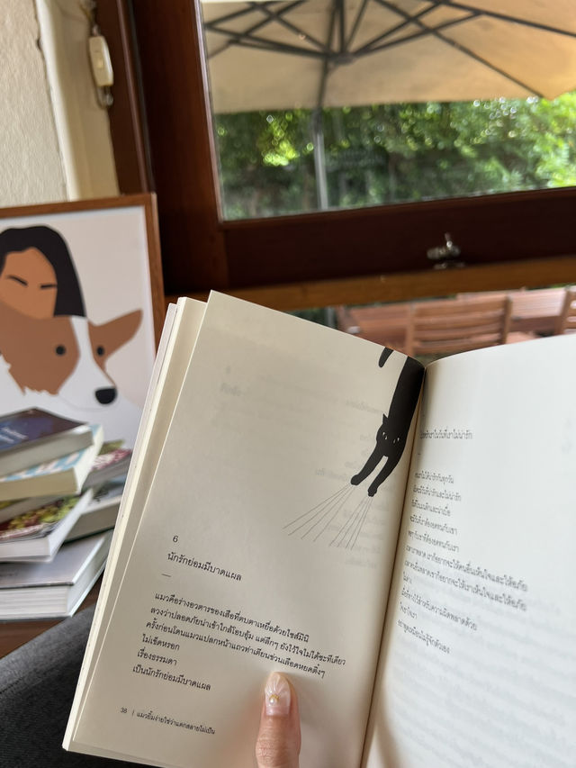 📚คาเฟ่ร้านหนังสือ ที่เชียงใหม่🍵🥯