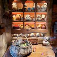 Stepping Into Middle-earth: My Magical Visit to Hobbiton Movie Set