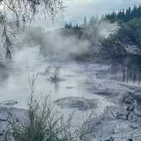 Stepping into Another World: My Visit to Rotorua’s Volcanic Wonderland!