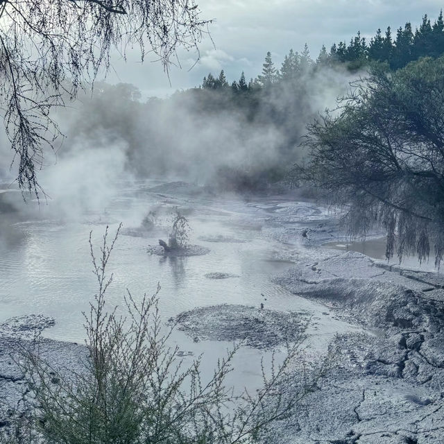 Stepping into Another World: My Visit to Rotorua’s Volcanic Wonderland!