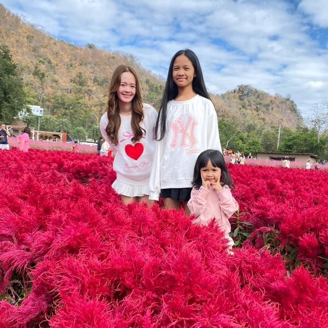 สวนดอกไม้ที่รอคอย🌻🌼🌺 ฮอกไกโด เขาใหญ่