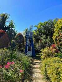 Shing Mun Valley Park 