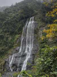 Experience Wulai Waterfalls: Majestic Views 