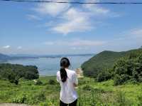 🌳자연과 힐링하러 남해 여행 떠나보실까요~?🌊