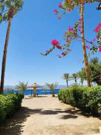 Grand Tala Bay Resort 