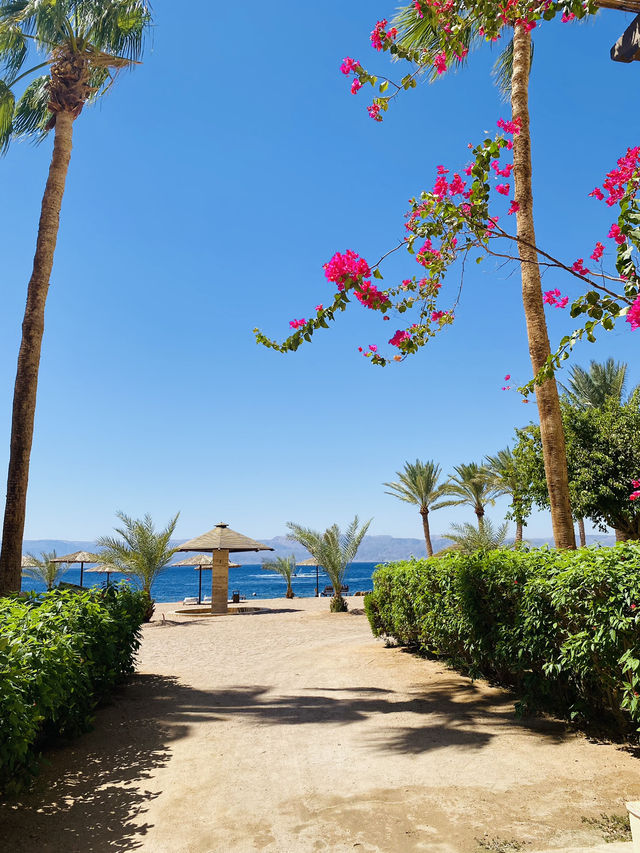 Grand Tala Bay Resort 
