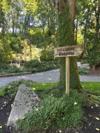 A stunning Japanese Garden in Seattle!