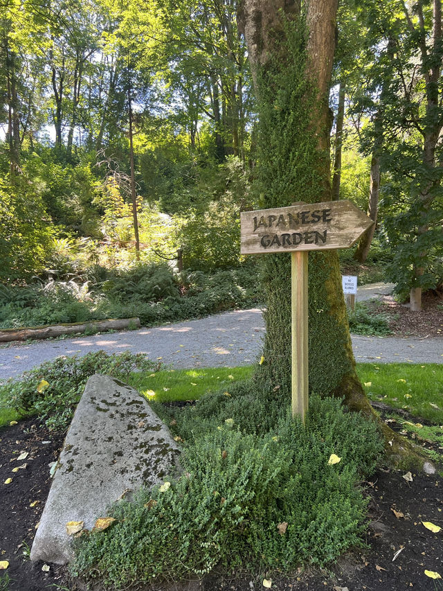 A stunning Japanese Garden in Seattle!