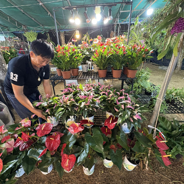 งานมีจฉาบานตำนานเขาสมิงครั้งที่4