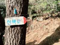 👍👍 이곳은 강력 추천!!