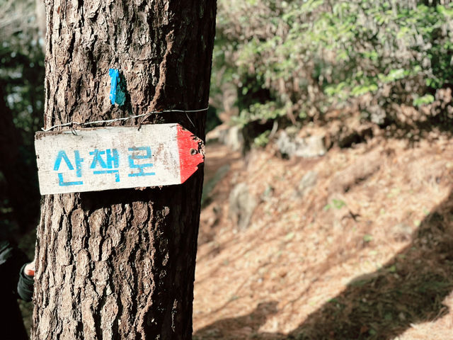 👍👍 이곳은 강력 추천!!