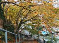  Jingo-ji 