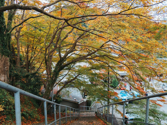  Jingo-ji 